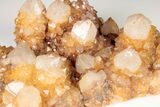 Sunshine Cactus Quartz Crystal Cluster - South Africa #191802-2